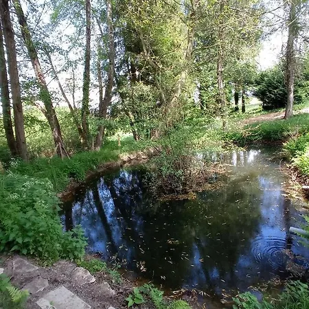 L'eclat De Menthe *