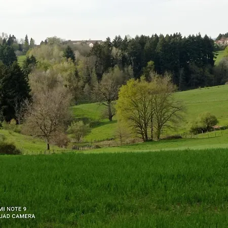L'eclat De Menthe *