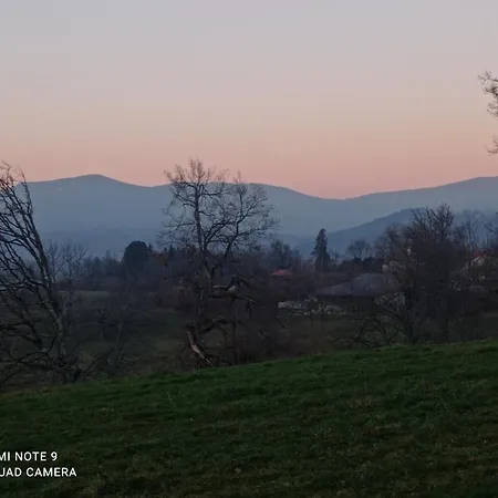 L'eclat De Menthe * Augerolles