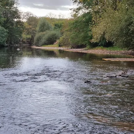 Appartement L'eclat De Menthe Augerolles