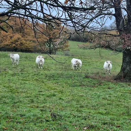 L'eclat De Menthe Augerolles