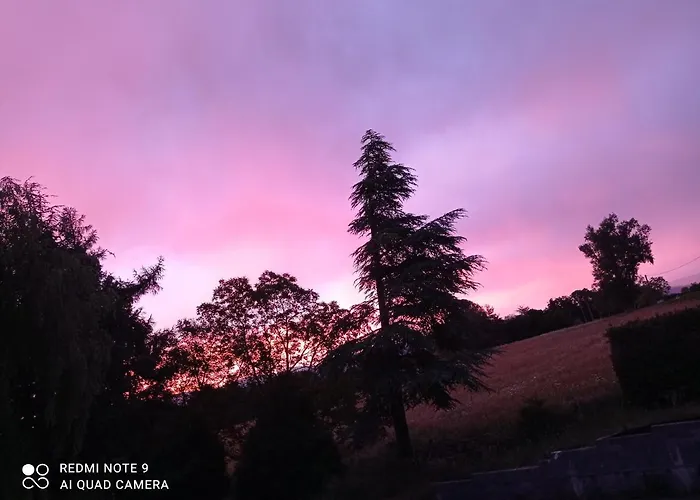 L'eclat De Menthe * Augerolles