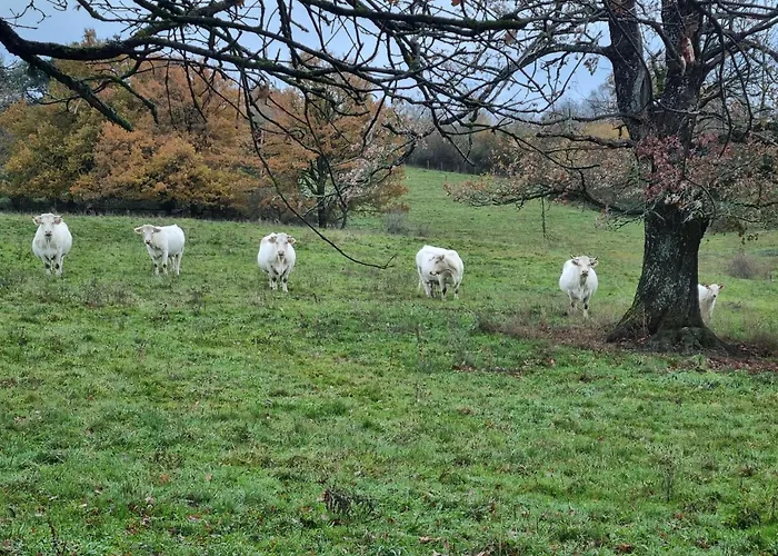 L'eclat De Menthe Augerolles